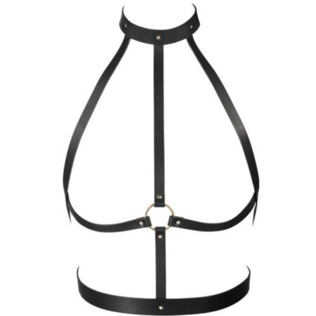 img_47547_e9db481ac11c66c8f8d44e00dcc9af9a_1