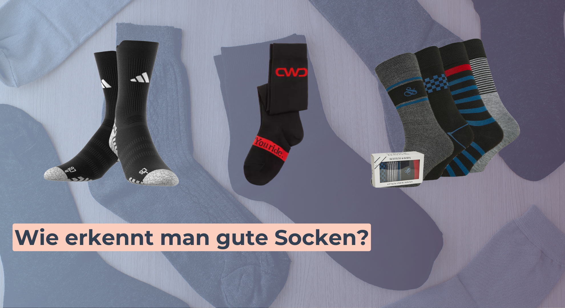 Wie erkennt man gute Socken